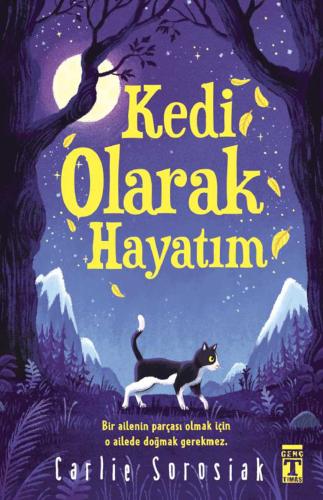KEDİ OLARAK HAYATIM