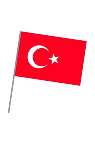 VATAN SOPALI BAYRAK 20x30